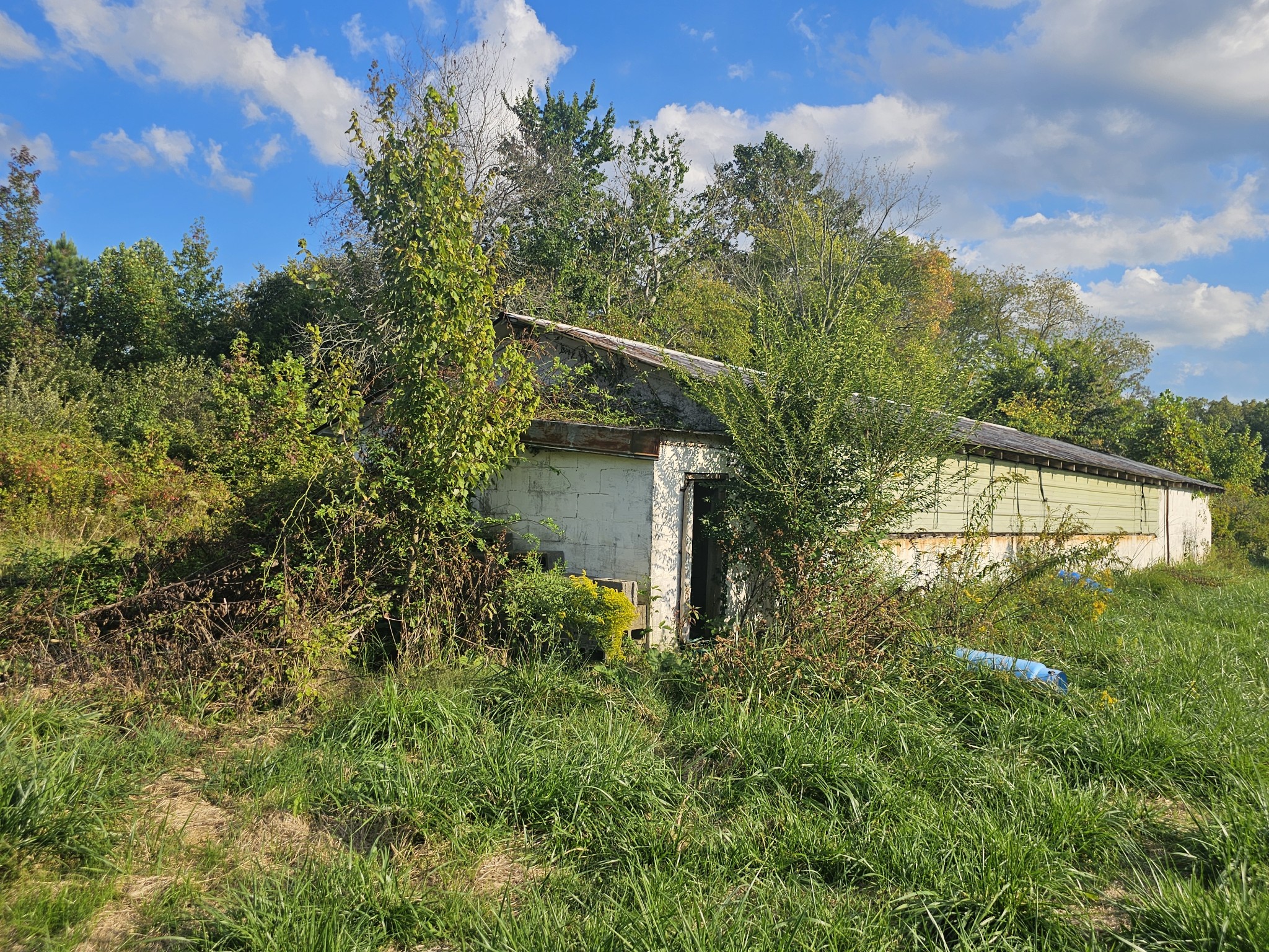 1077 Rock Ave