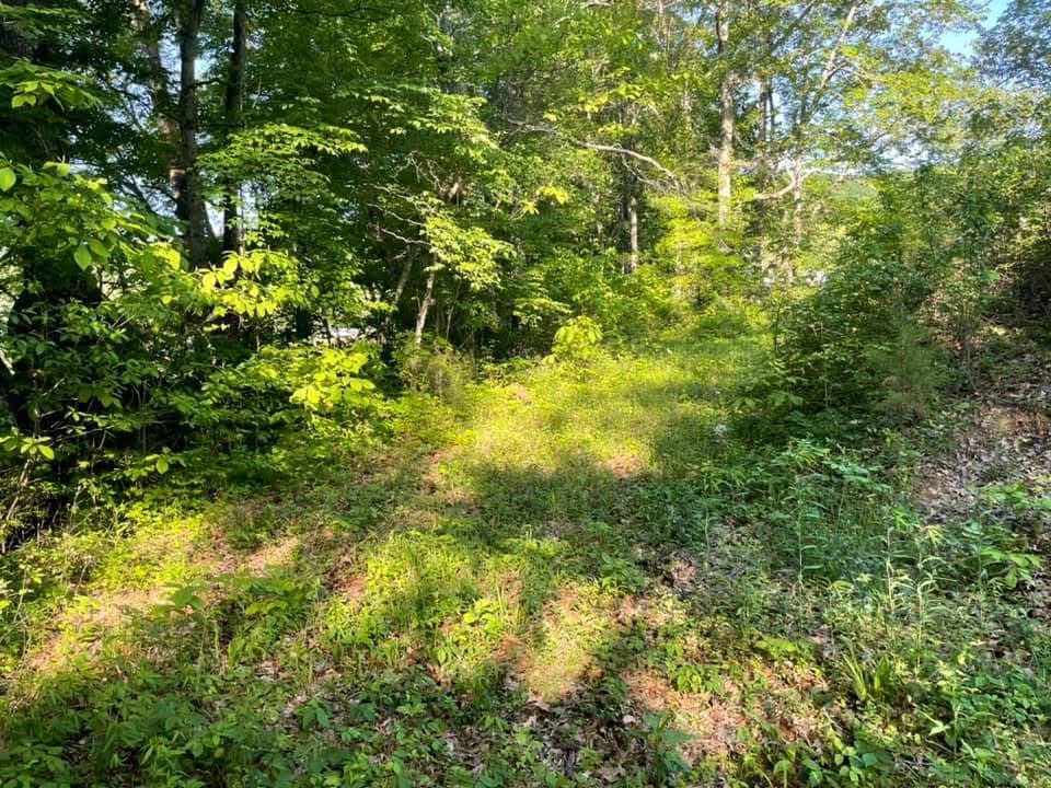 0 White Ridge Rd