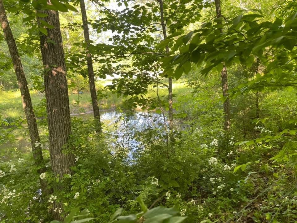 0 White Ridge Rd