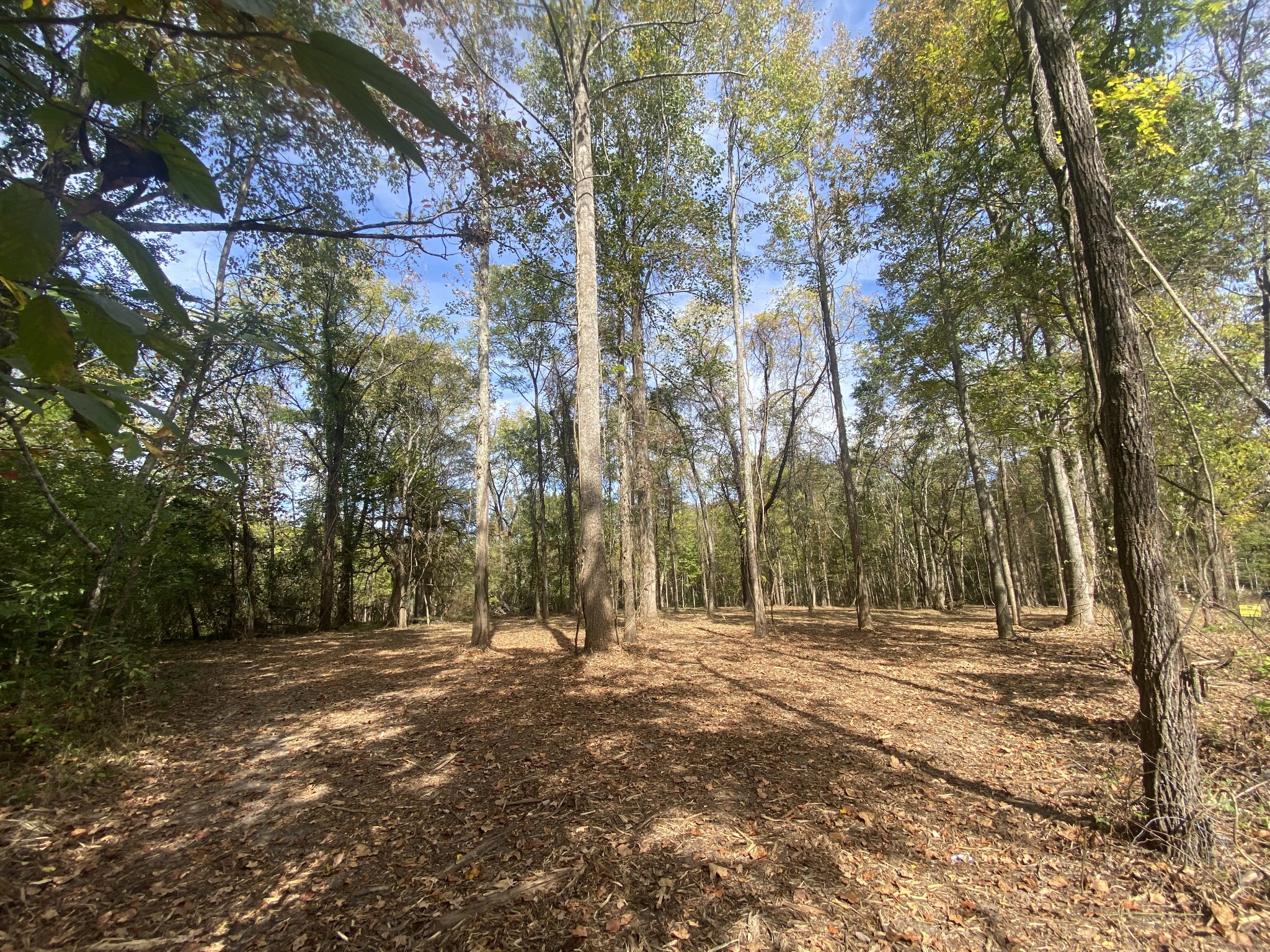 0 Newt Vanattia Rd