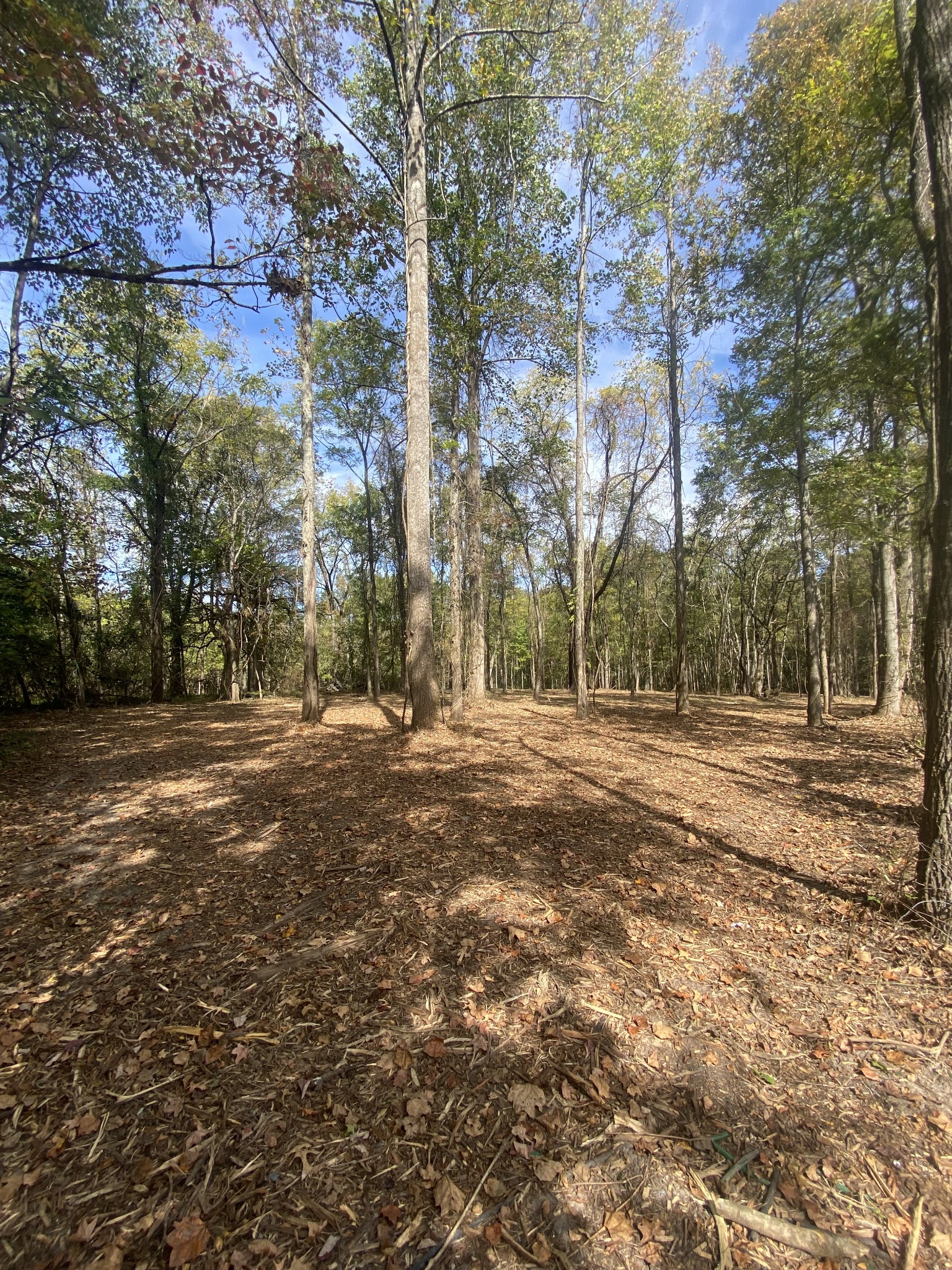 0 Newt Vanattia Rd