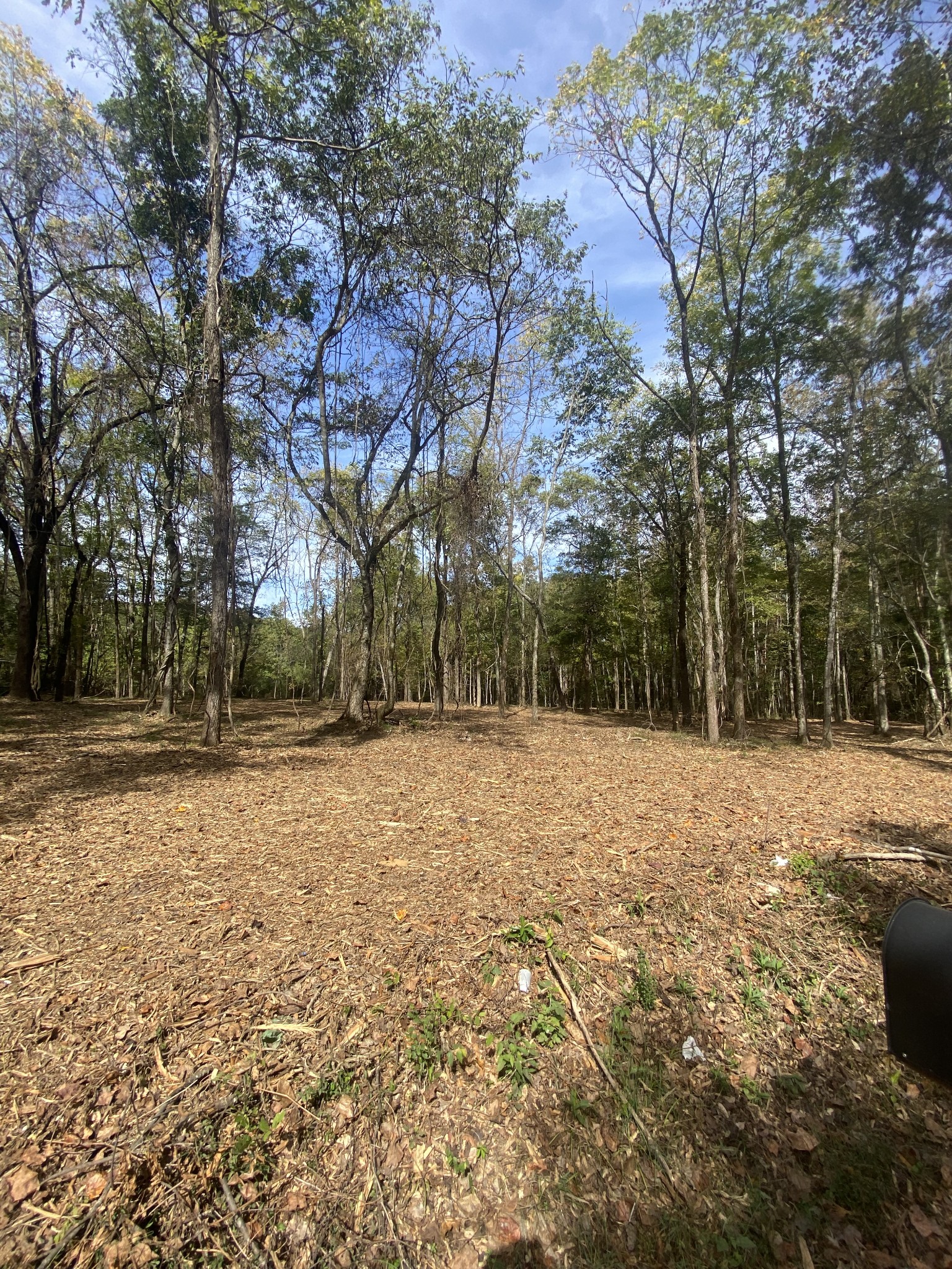 0 Newt Vanattia Rd