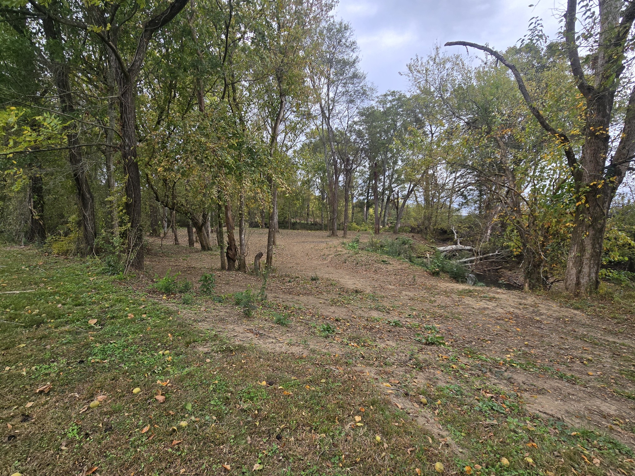 774 Sherrell Rd