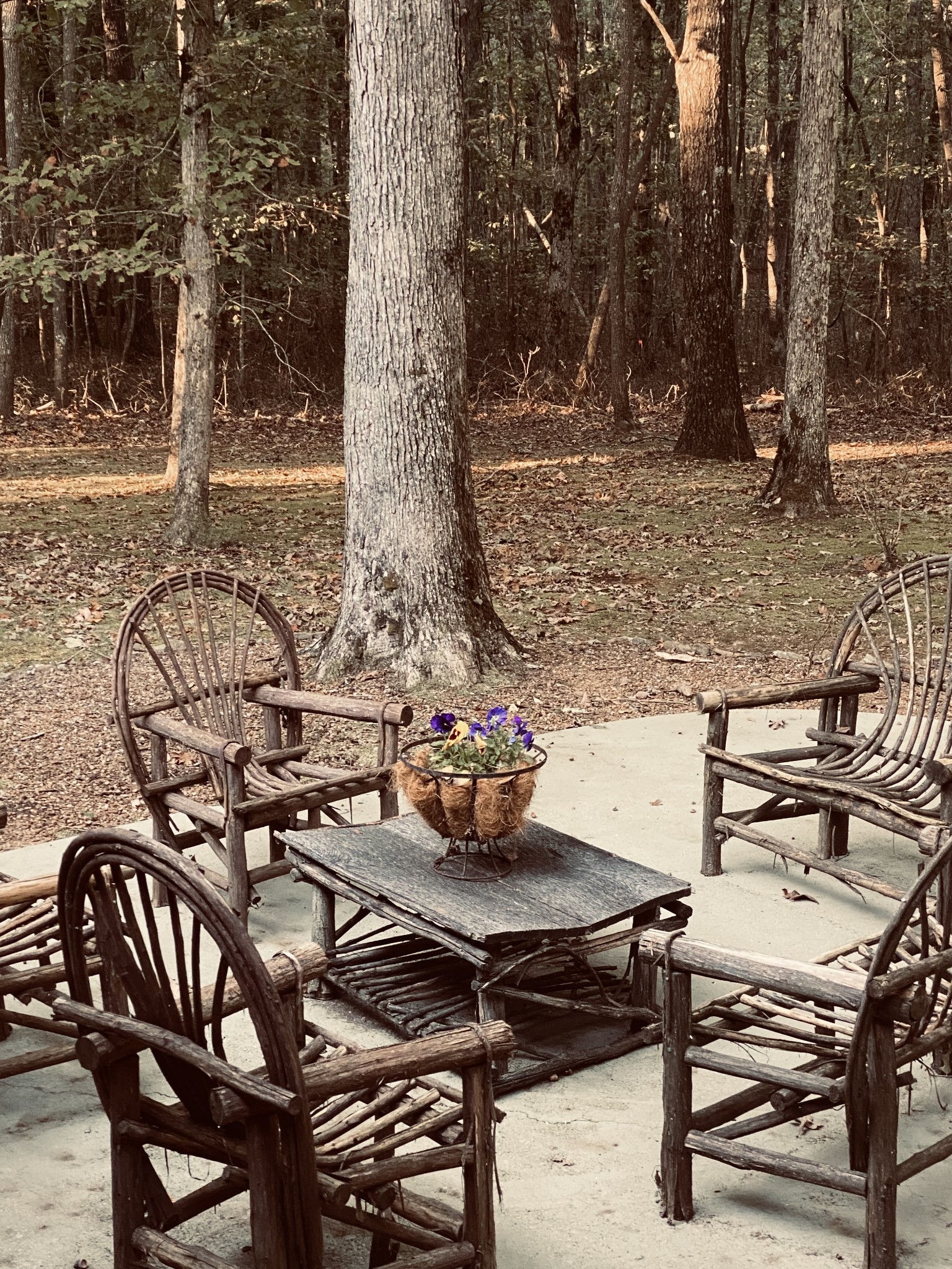 2271 Timberwood Trce