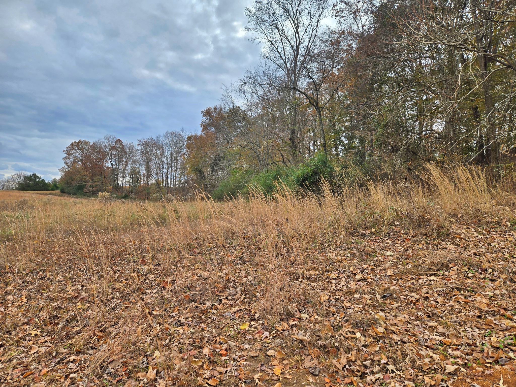 0 Hidden River Rd
