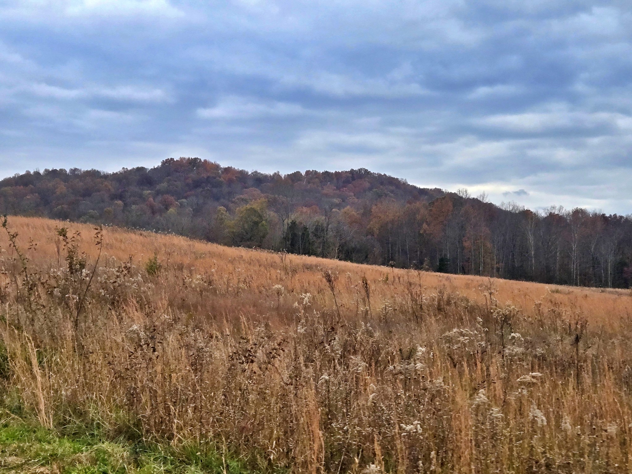 0 Hidden River Rd