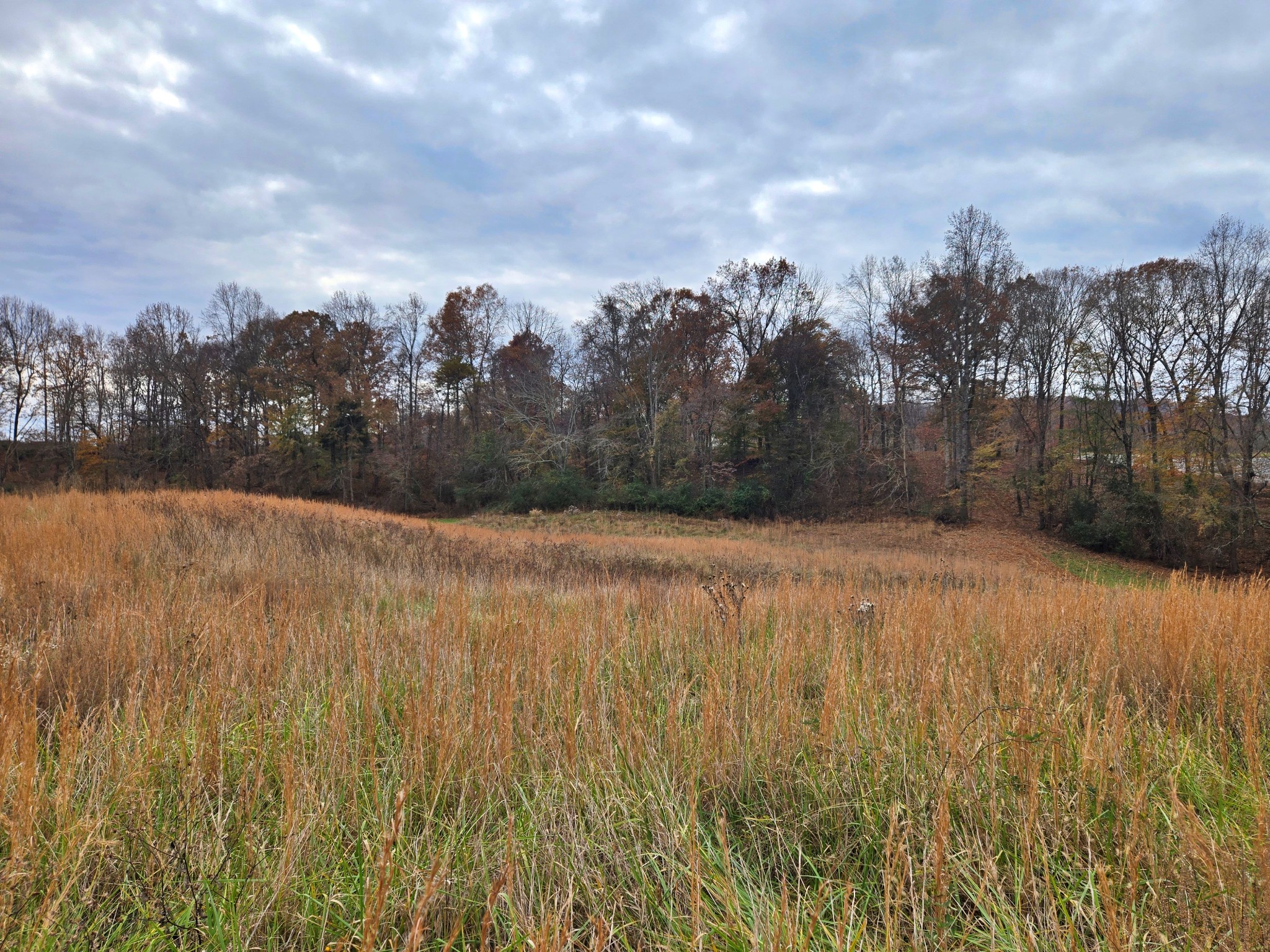 0 Hidden River Rd