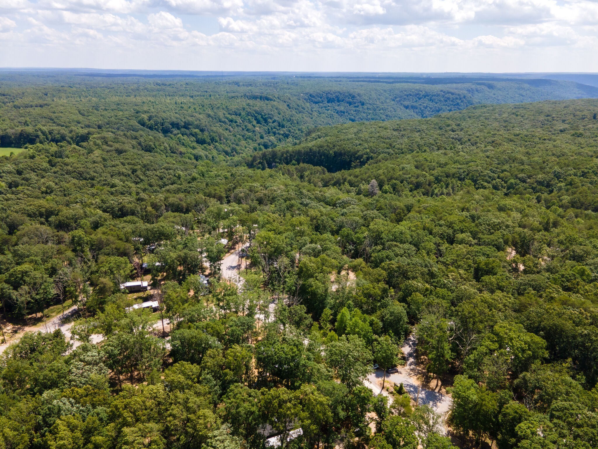 238 Mountain Laurel
