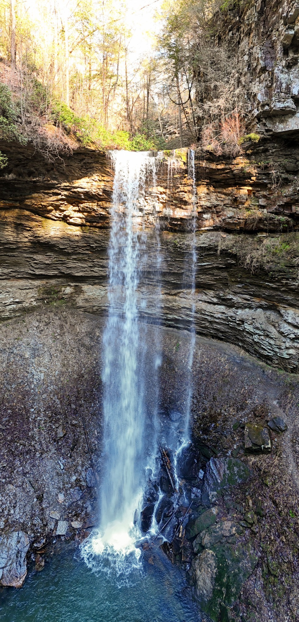 238 Mountain Laurel