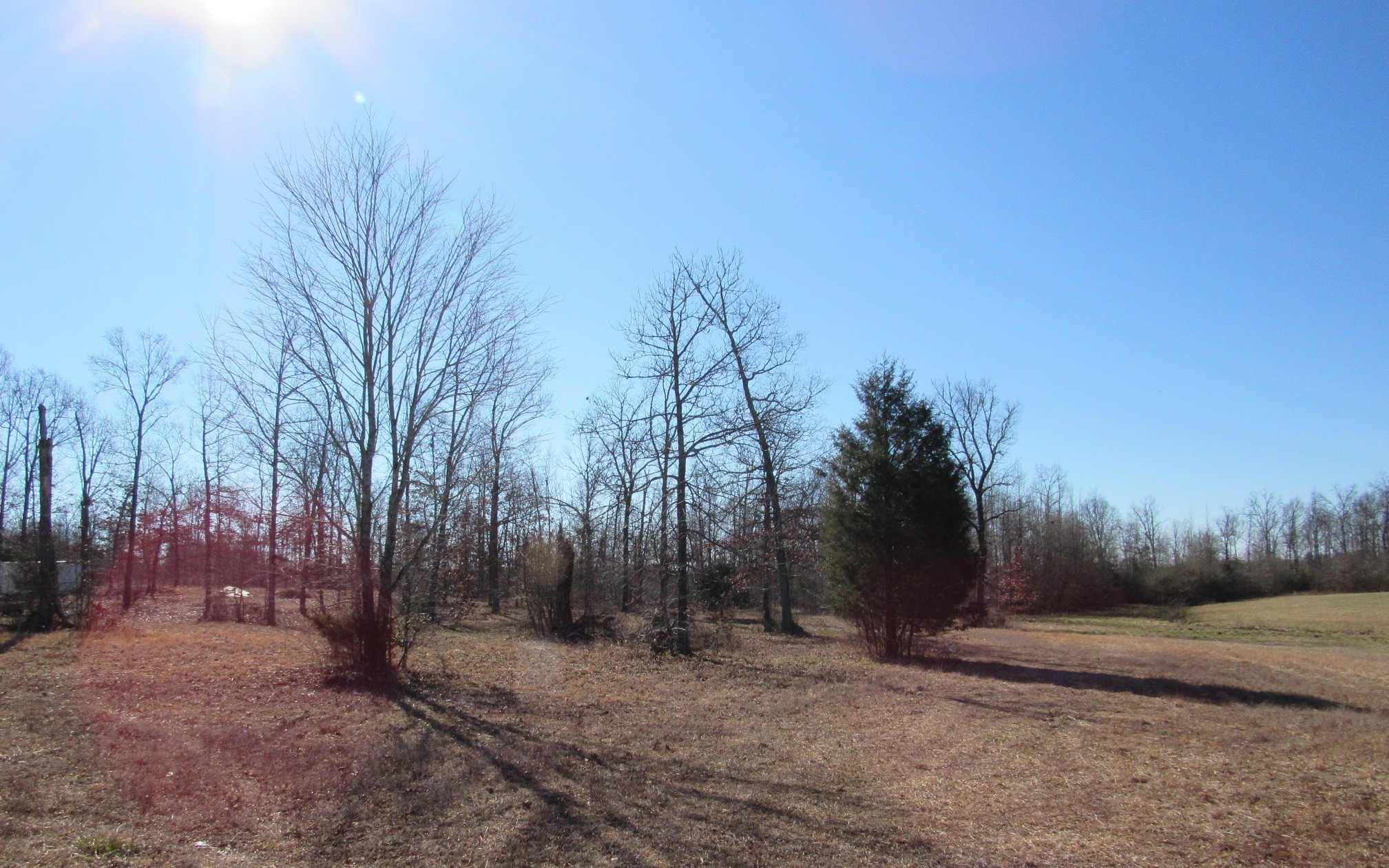 2385 Unionville Deason Rd