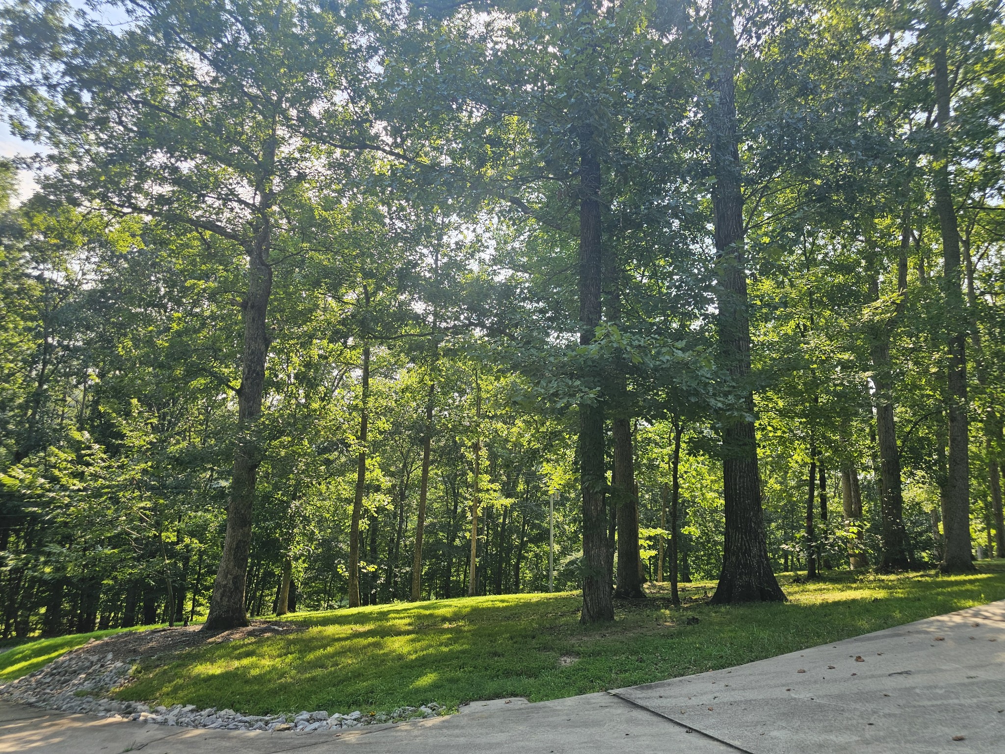 550 Laurel Crown Rd
