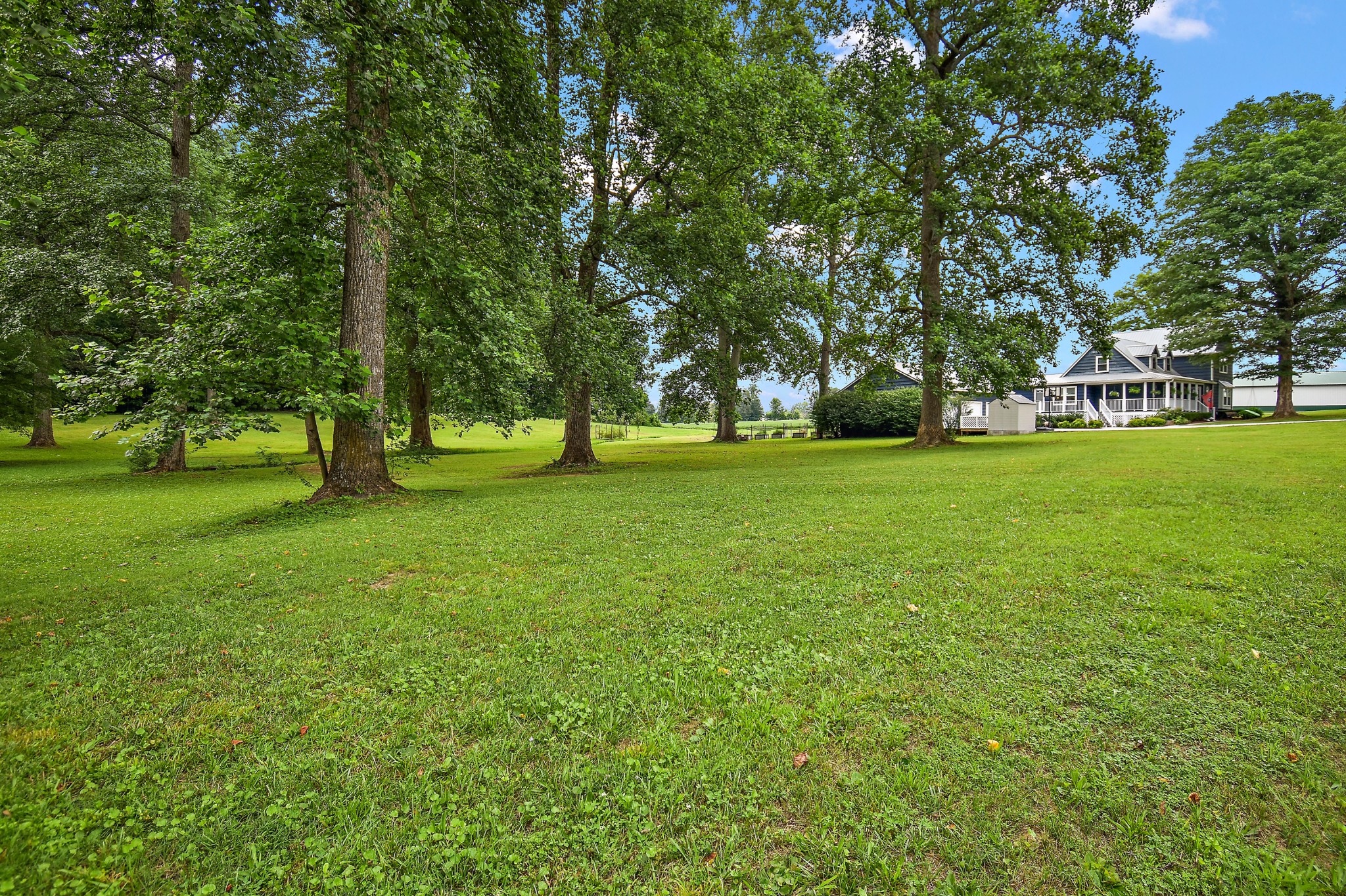 124 Amy Rd