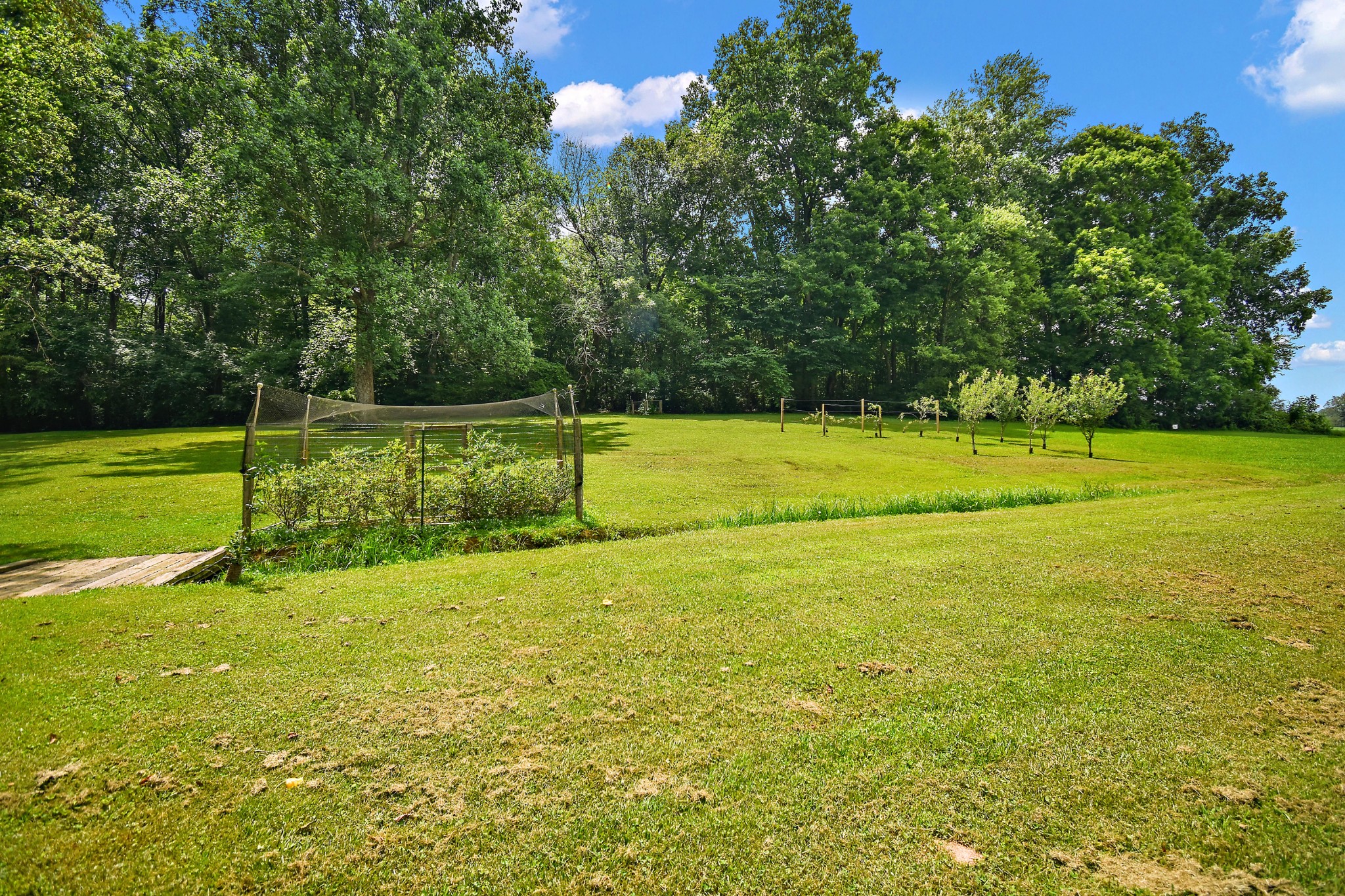 124 Amy Rd