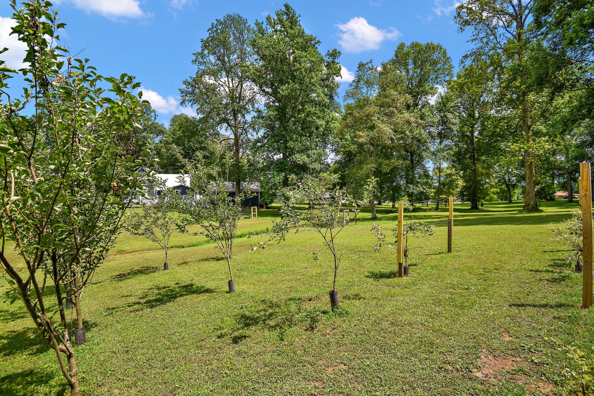 124 Amy Rd