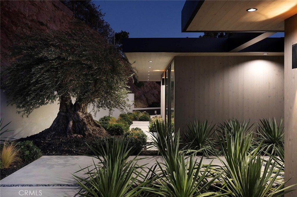 9015 Alto Cedro Drive