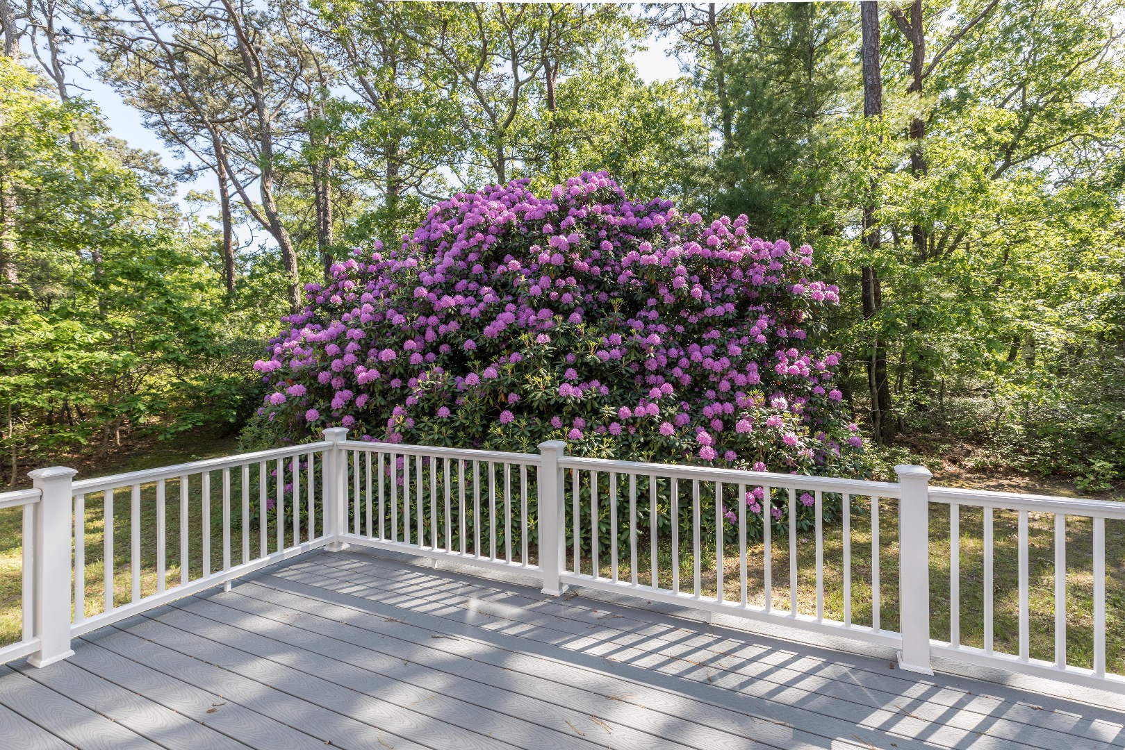16 Majors Cove Lane