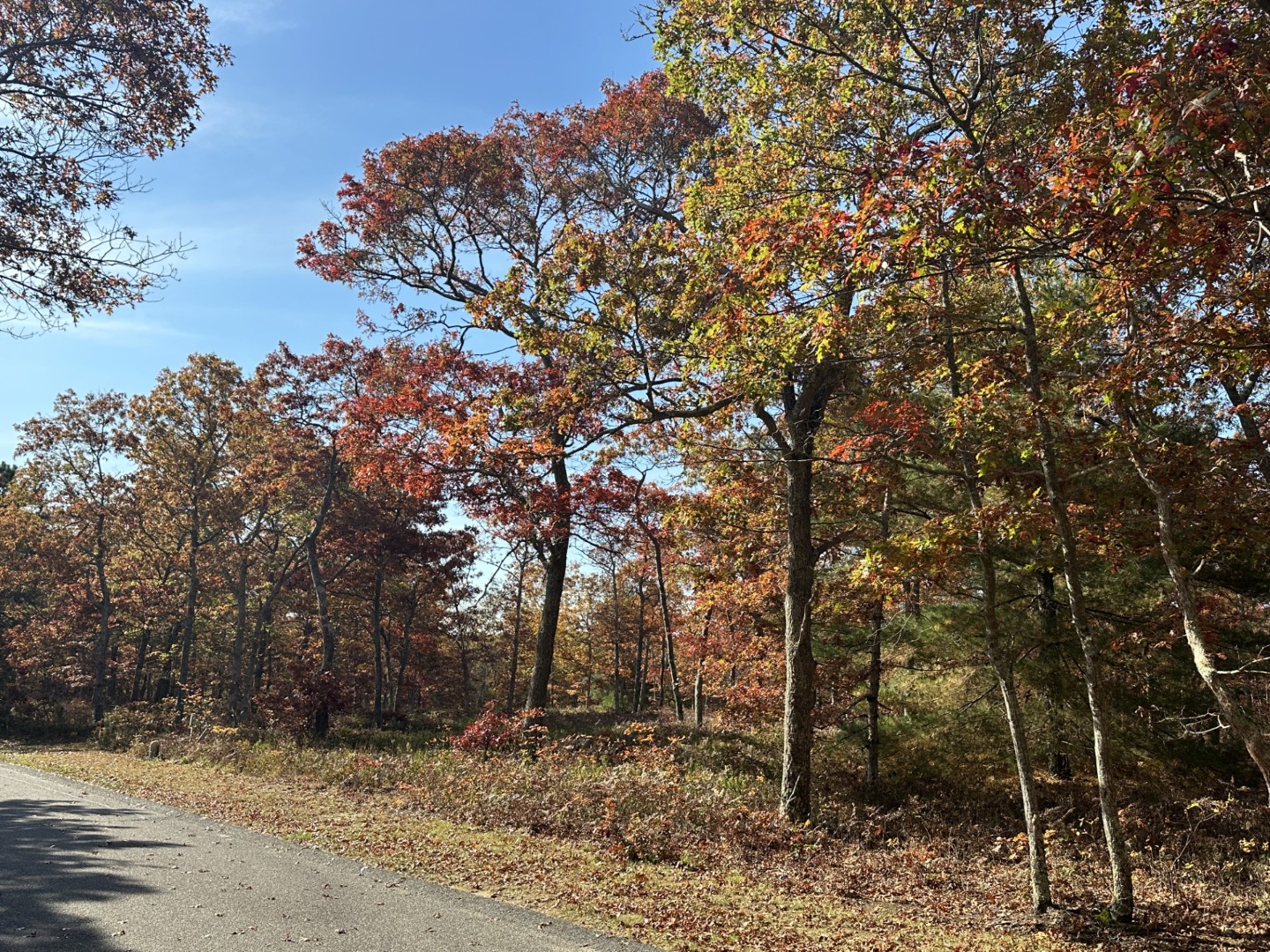 0 Bridle Path Road