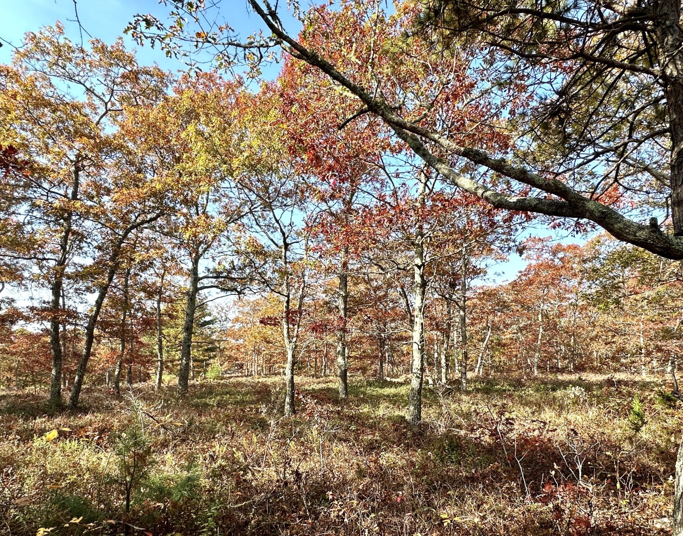 0 Bridle Path Road