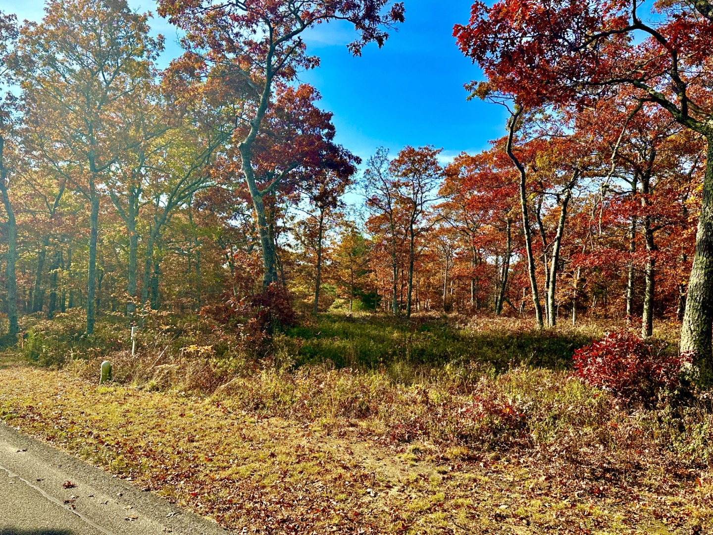 0 Bridle Path Road