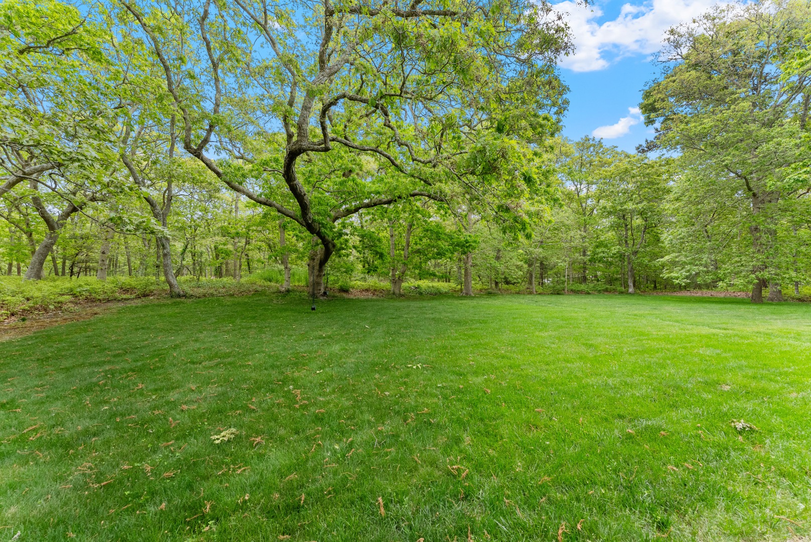 5 Bayes Hill Circle