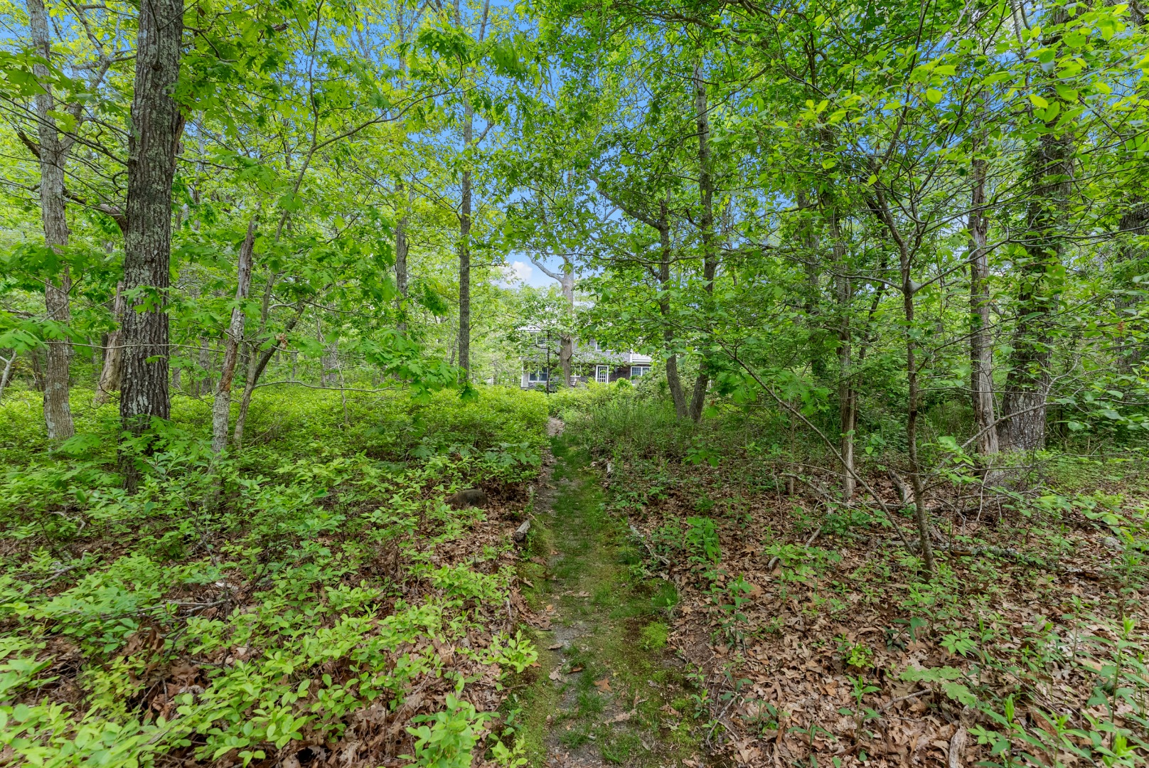 5 Bayes Hill Circle