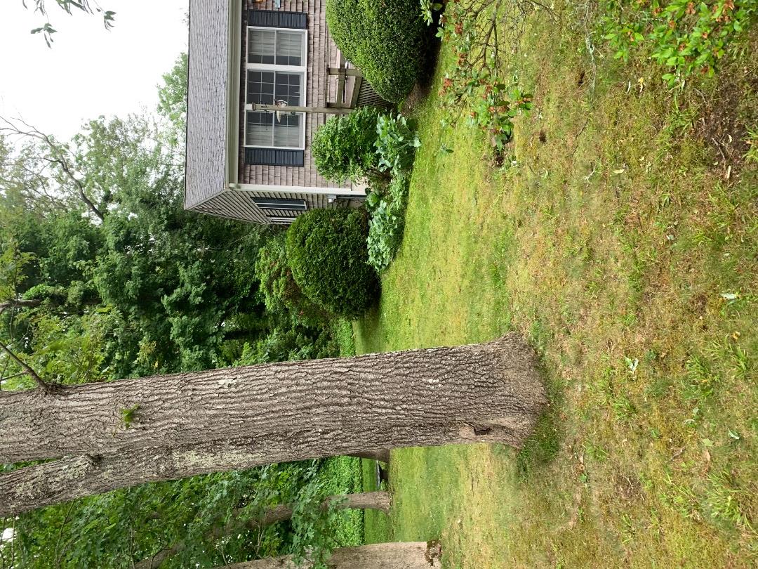 73 & 0 Old Country Lane