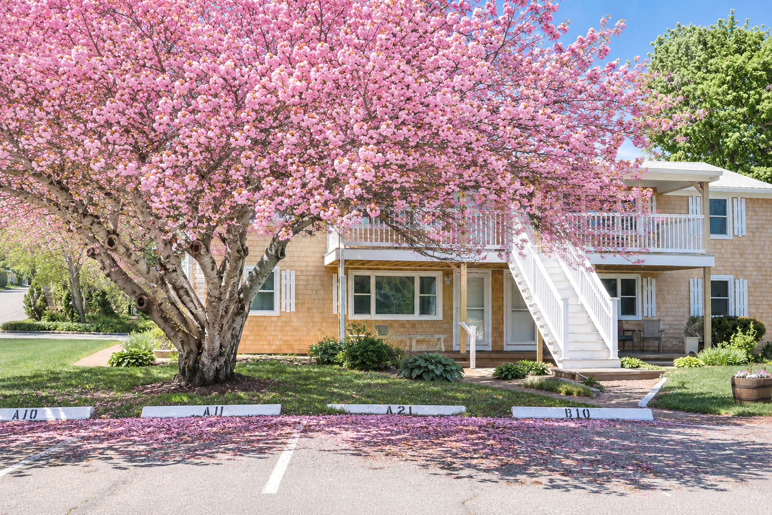 124 Skiff Avenue # 11 Unit: A-11