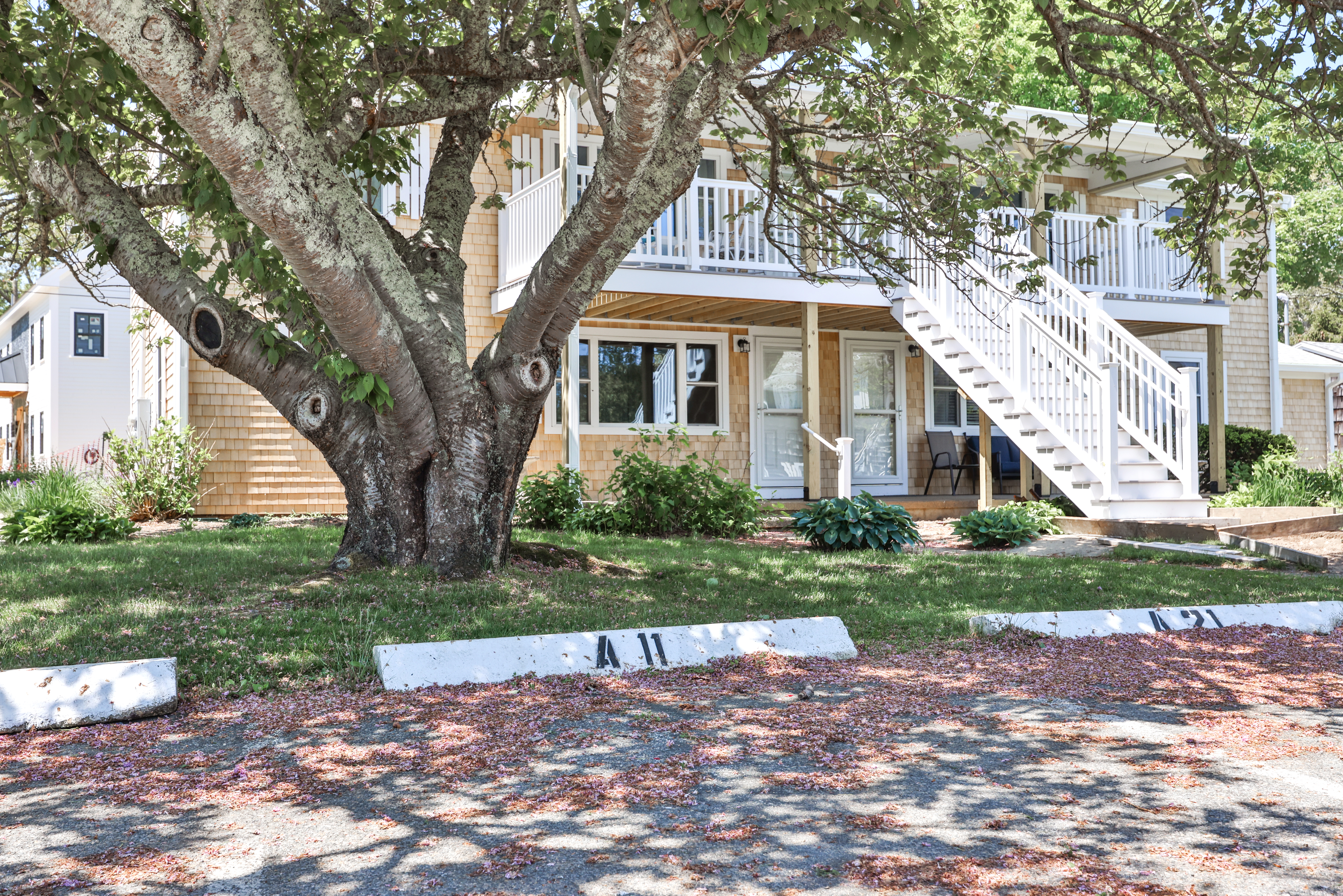 124 Skiff Avenue # 11 Unit: A-11