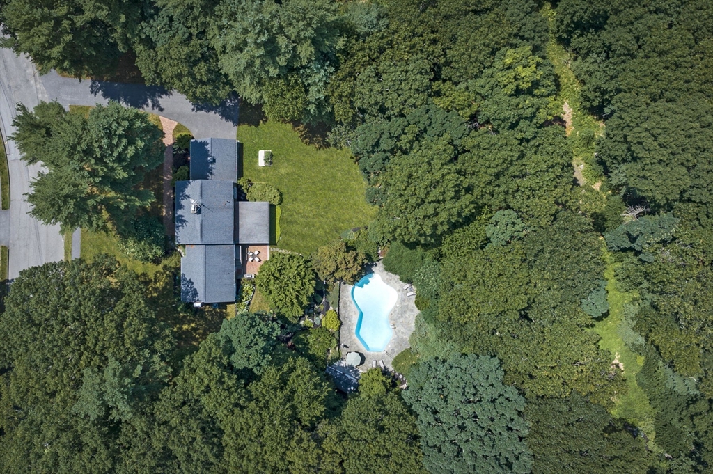 50 Grey Lane