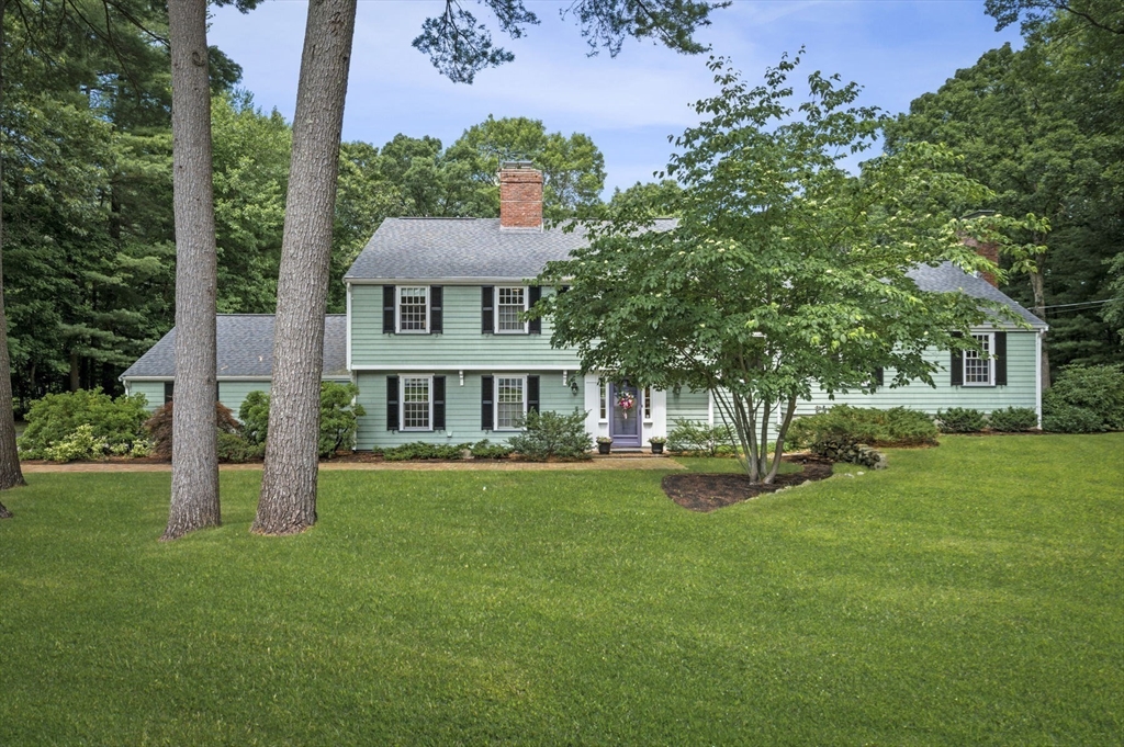 50 Grey Lane
