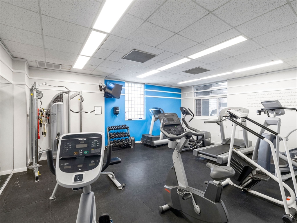 4-6 Canal Park # 210