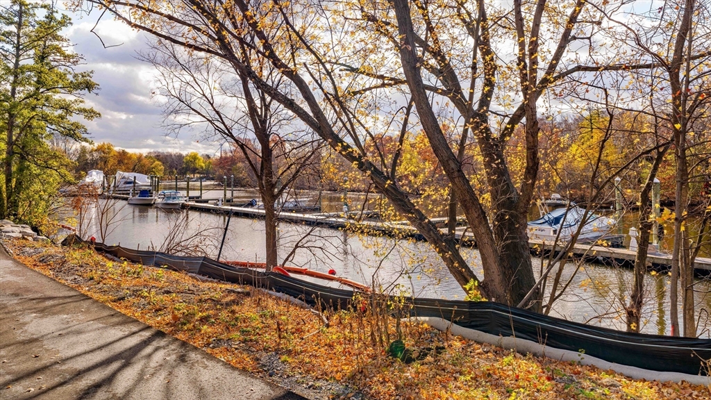 76 Ship Avenue # 11