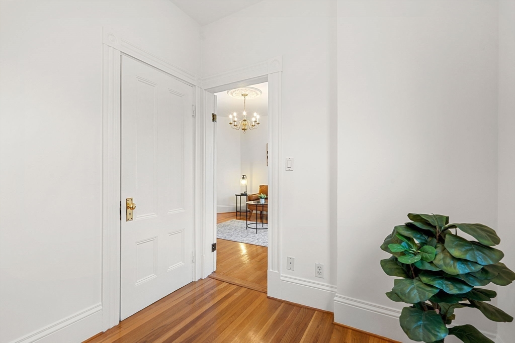 13 Buttonwood St # 3