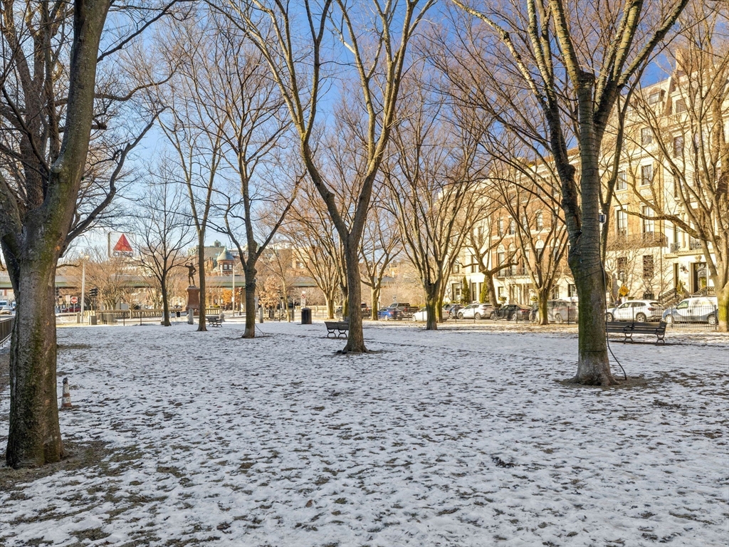386 Commonwealth Ave # 52
