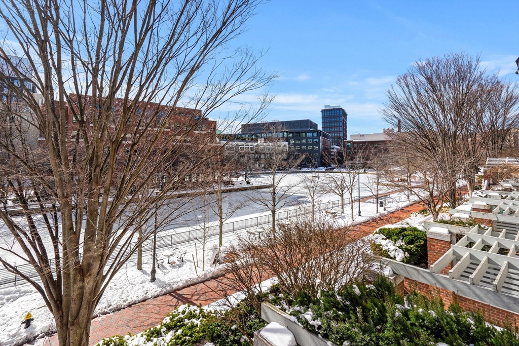 6 Canal Park # 203