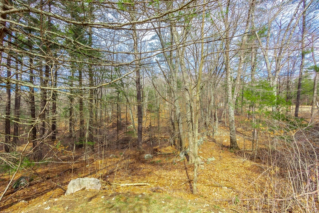55 Farm Rd