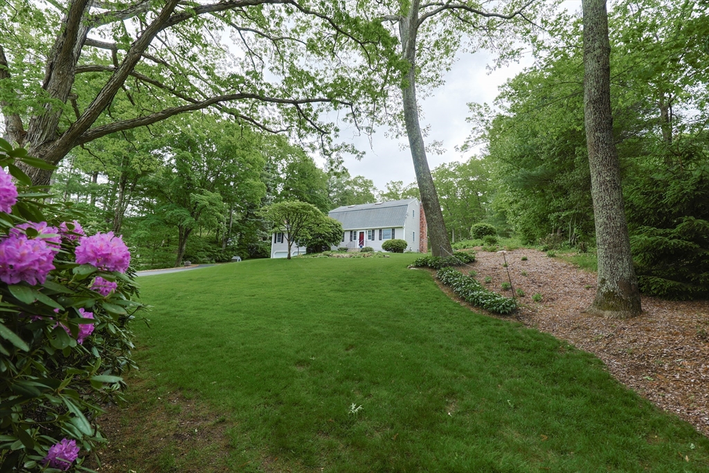 67 Forest Rd