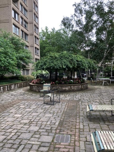 1731 Beacon St # 523