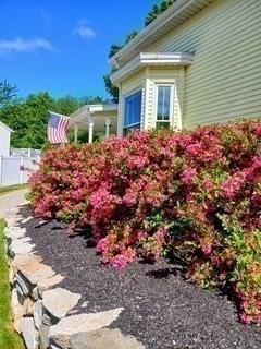 68 High St