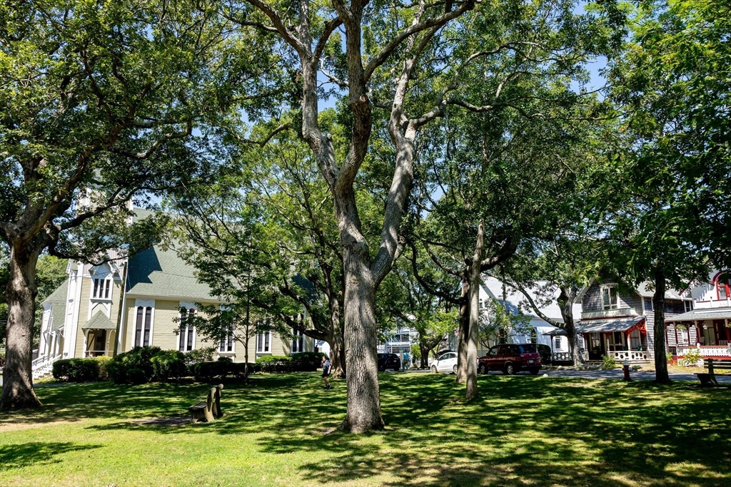 41 Trinity Park