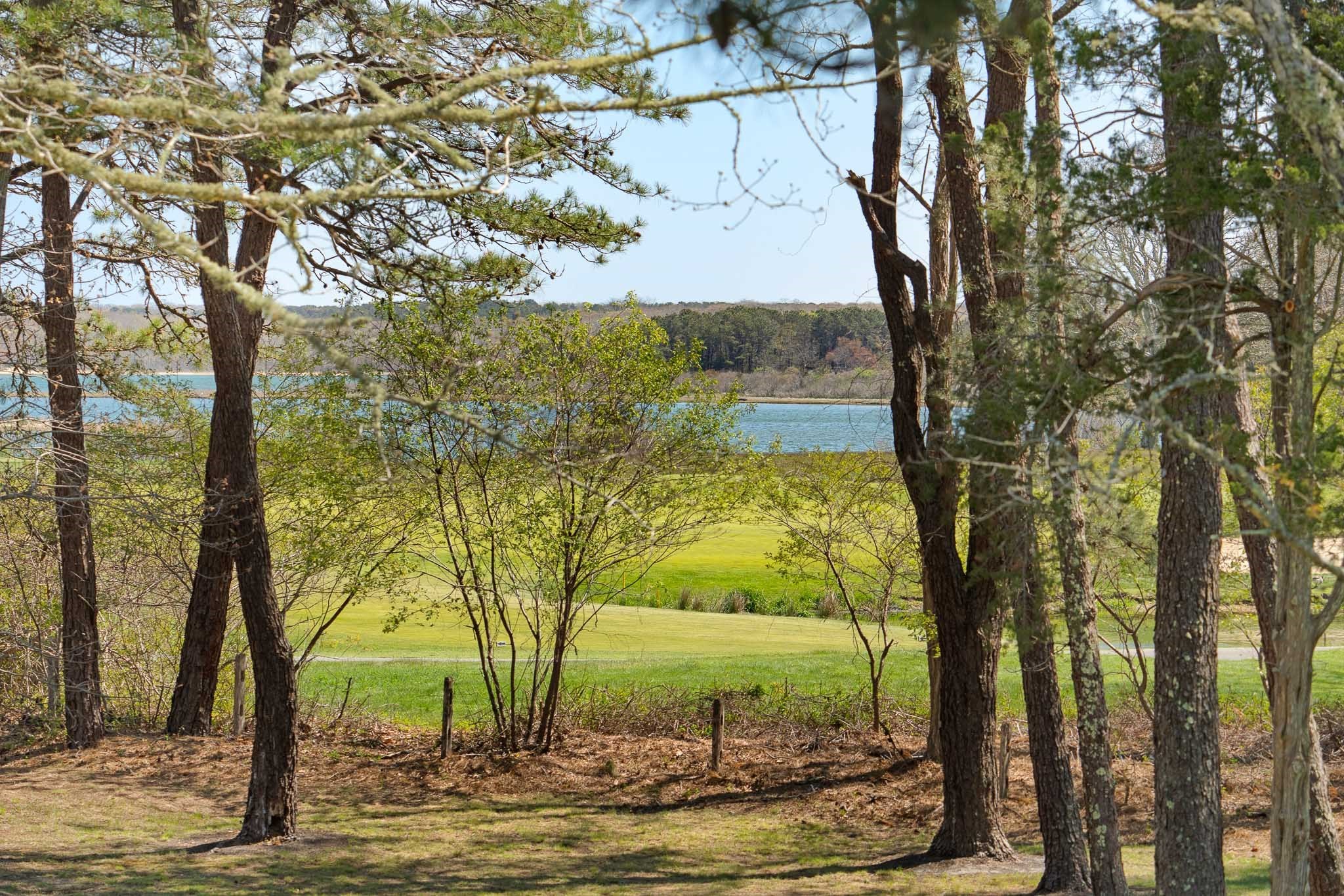 15 Tamarack Lane