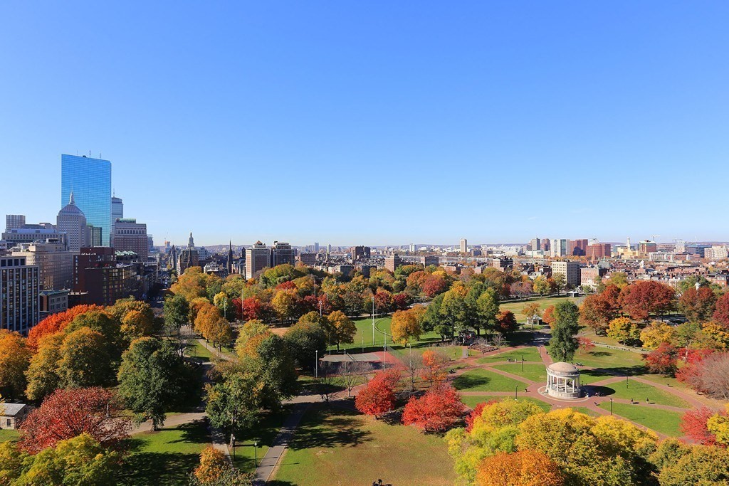 170 Tremont Street # 1803