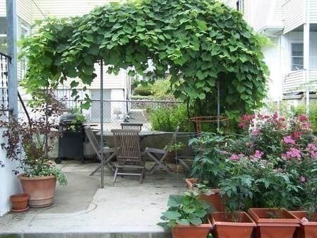146 Hillside Road # 1
