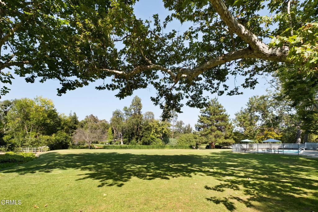 1256 Club House Drive