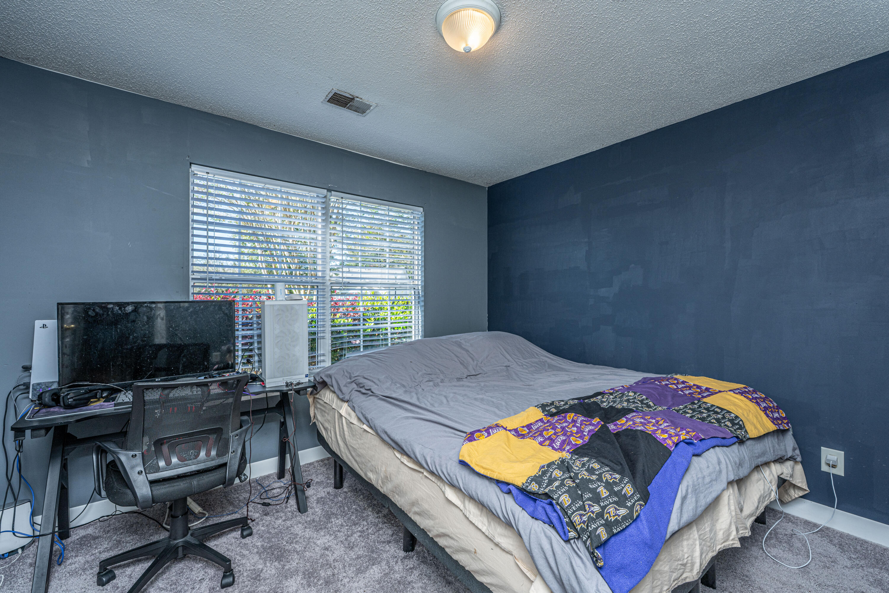 134 Townsend Way, Summerville