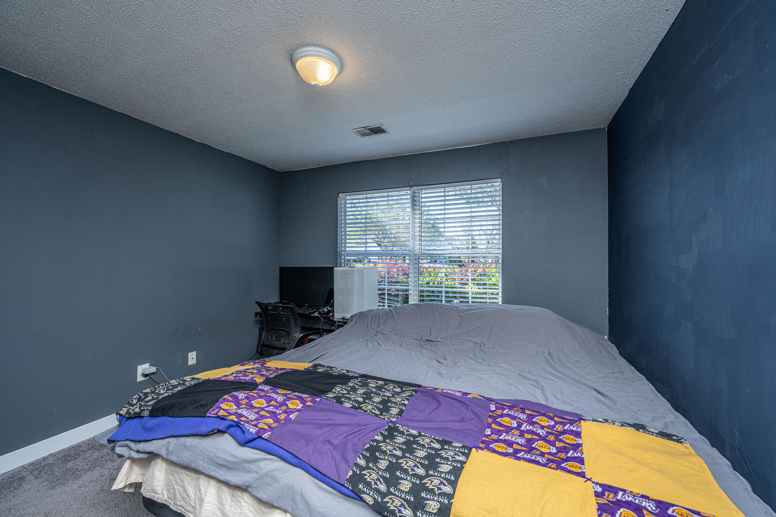 134 Townsend Way, Summerville