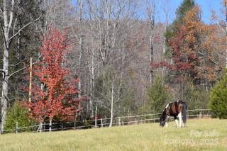 81 Jockey Hollow Drive