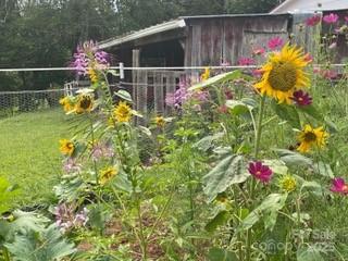 81 Jockey Hollow Drive