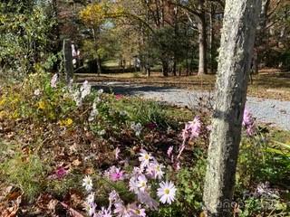 81 Jockey Hollow Drive