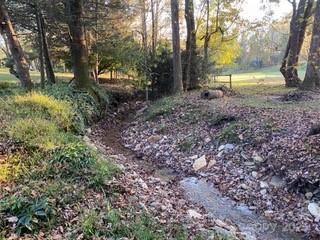 81 Jockey Hollow Drive